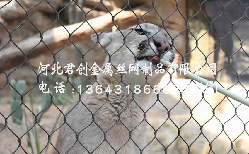 不銹鋼繩網(wǎng)發(fā)黑